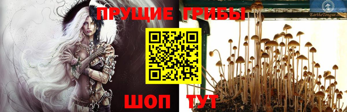 Острогожск  Псилоцибиновые грибы ЛСД  Псилоцибиновые грибы Cubensis  Вход с VPN 